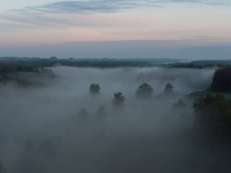 Enchanting Sunrise Mist Over Majestic Forest in Northern Europeの写真素材
