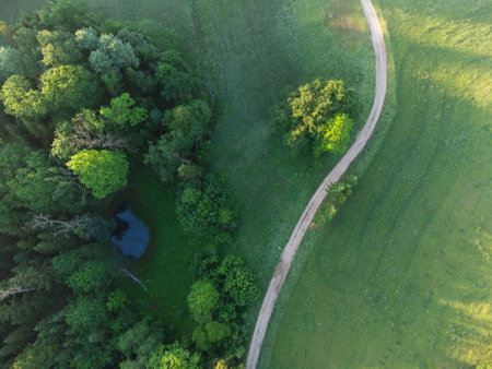 Rising Above the Beauty: Aerial View of Serene Green Pastures, Trees and Gravel Road During Sunrise...