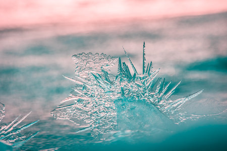 Gilded Winter: Translucent Ice Awakens in Golden Sunrise in Northern Europe
