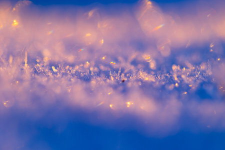 Winter's Farewell: Delicate Frozen Plants Awaken in Early Spring in Northern Europe