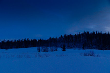 Mystical Swedish Winter Wilderness: Nocturnal Snowscape Under the dark Sky in Northern Europeの写真素材