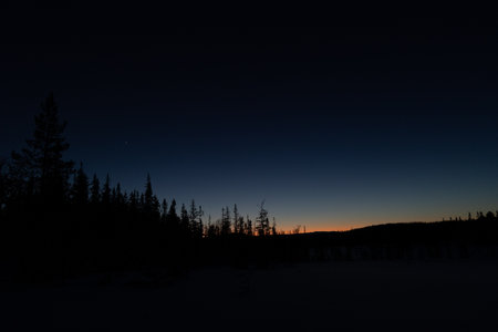 Mystical Swedish Winter Wilderness: Nocturnal Snowscape Under the dark Sky in Northern Europe