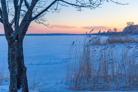 A beautiful winter sunrise scenery of frozen lake and forest. Colorful landscape with dawn skies in Northern Europe.の写真素材