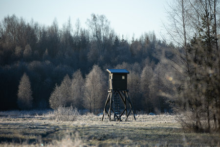 A beautiful sunny morning landscape of frosted trees in woodlands. Early winter scenery of Northern Europe.の写真素材