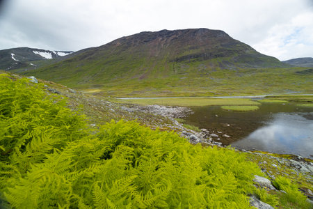 A beautiful small mountain lake in Sarek National Park, Sweden during august. Summer landscape of...