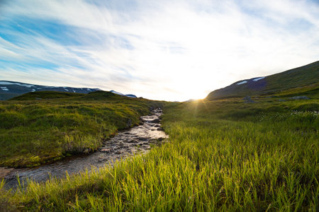 A small, rocky mountain stream in Sarek National Park, Sweden. A beautiful summer landscape with water flow in Northern Europe wilderness.の写真素材
