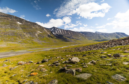 A beautiful summer landscape of Sarek National Park with river. Wild scenery of Northern Europe.の写真素材