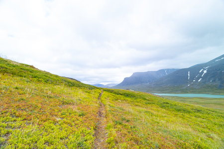 A beautiful summer landscape of Sarek National Park with river. Wild scenery of Northern Europe.の写真素材