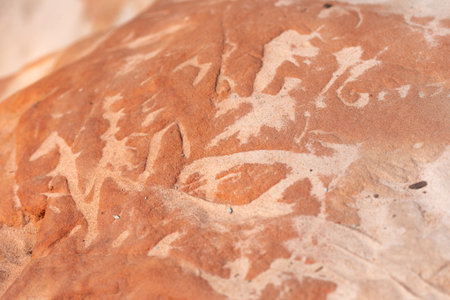A beautiful close-up of a sandstone wall in Gauja National Park, Latvia. Early spring scenery in Northern Europe.の写真素材