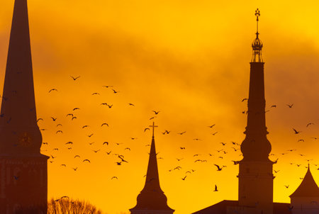 A beautiful citiscape of Riga, Latvia during sunrise. Church towers against colorful sky. City panorama in morning with buildings.の写真素材
