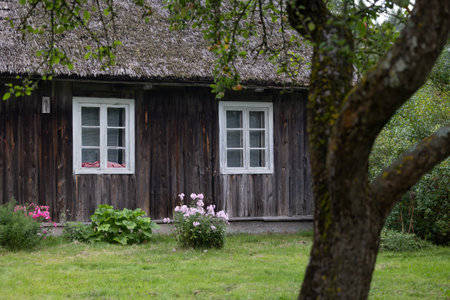 An old, wooden log building in countryside of Latvia, Europe. Wooden architecture.の写真素材
