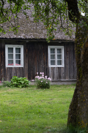 An old, wooden log building in countryside of Latvia, Europe. Wooden architecture.の写真素材