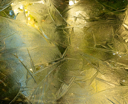 A beautiful frown water surface in the spring forest of Scandinavia. Natural outdoors scenery of...