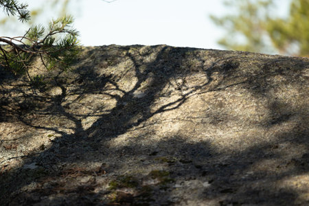 Beaituful hude boulders in the Tividen National Park in Sweden. Natural springtime scenery of forest in Scandinavia.の写真素材