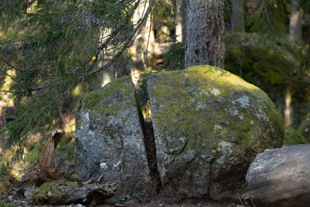 Beaituful hude boulders in the Tividen National Park in Sweden. Natural springtime scenery of forest in Scandinavia.の写真素材