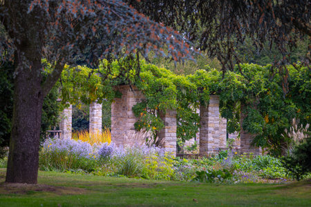 A beautiful park landscape with a stone brick pavilion and blooming plants. Autumn scenery of Nordpark, Dusseldorf, Germany.の写真素材