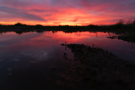 A beautiful sunrise reflection in the water puddle. A natural summer morning scenery of rural Latvia, Northern Europe.の写真素材