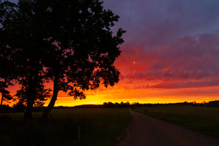 A beautiful tree silhouettes against the colorful sunrise sky. Natural summer scenery of rural Latvia, Northern Europe.の写真素材