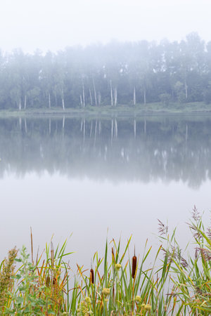 A beautiful summer morning with a fog over the lake. Natural misty scenery of rural Latvia, Northern Europe.の写真素材