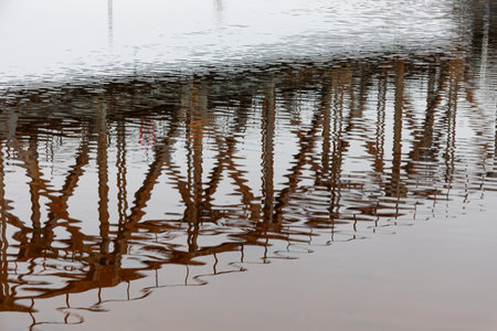Springtime details near the metal bridge over the river. Overcast april day in Riga, Latvia.の写真素材