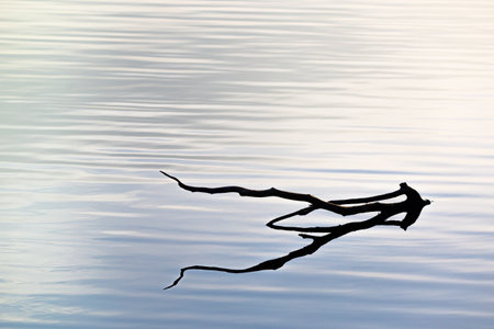 A beautiful overcast spring day landscape at the river. Springtime scenery in Latvia, Northern Europe.の写真素材