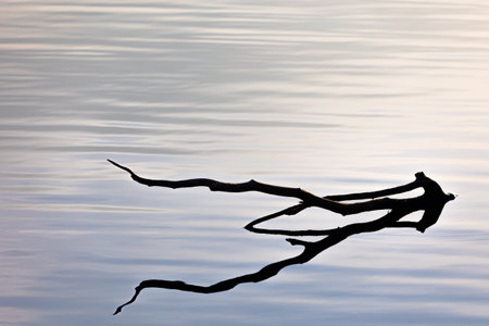 A beautiful overcast spring day landscape at the river. Springtime scenery in Latvia, Northern Europe.の写真素材