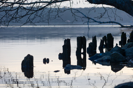 A beautiful spring sunrise at the river. Natural outdoors scenery in Riga, Latvia, Northern Europe.の写真素材