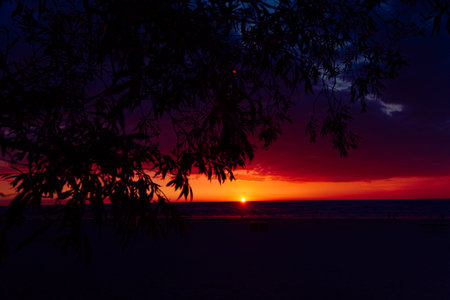 A beautiful sunset scenery at the beach with willow bush branch silhouettes. Colorful summer scenery...