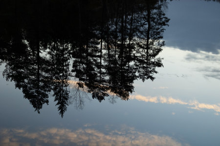 Artistic reflections of spring forest in the lake's surface. Swedish scenery with water and trees.の写真素材