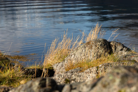 Beautiful rocky shore landscape at fjords in Lofoten islands, Norway in sunny autumn day. Seasonal scenery of Scandinavia.の写真素材