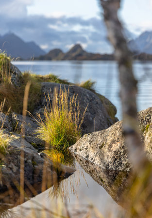 Beautiful rocky shore landscape at fjords in Lofoten islands, Norway in sunny autumn day. Seasonal scenery of Scandinavia.の写真素材