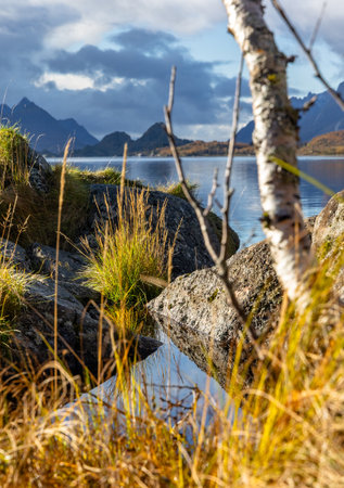 Beautiful rocky shore landscape at fjords in Lofoten islands, Norway in sunny autumn day. Seasonal scenery of Scandinavia.の写真素材