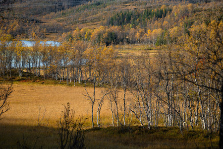 A beautiful autumn landscape of mountains in Northern Norway. Seasonal scenery of Scandinavia.の写真素材