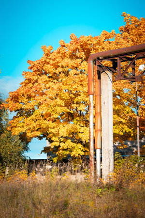 Beautiful autumn landscape with colored foliage and city buildings. Seasonal scenery of Northern Europe.の写真素材
