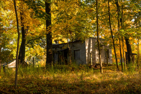Beautiful autumn landscape with colored foliage and buildings. Seasonal scenery of Northern Europe.の写真素材