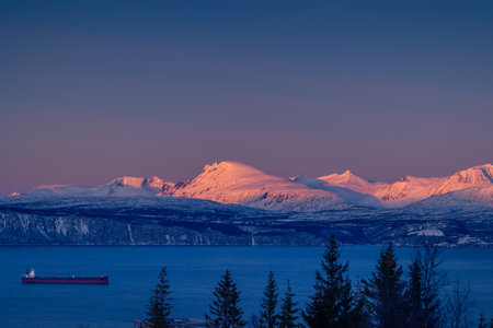 A beautiful arctic day scenery with cargo ship in the fjord near Narvik harbor. Norway winter with...
