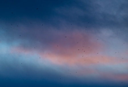 Beautiful, colorful winter sunrise skies over the snowy mountains and fjords in Norway during polar night. Arctic nature in Scandinavia during winter season.の写真素材