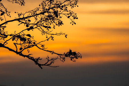 Beautiful autumn morning landscape of a lake before the runrise. Seasonal scenery in Riga, Latvia.の写真素材