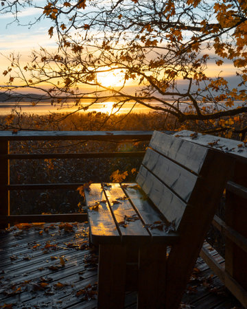 A beautiful golden autumn scenery of a park with wooden pathway. Seasons in Riga, Latvia.