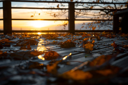 A beautiful golden autumn scenery of a park with wooden pathway. Seasons in Riga, Latvia.の写真素材
