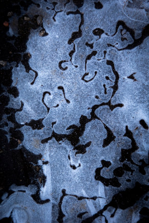 Beautiful ice patterns of a frozen lake. Winter scenery of Latvia.の写真素材