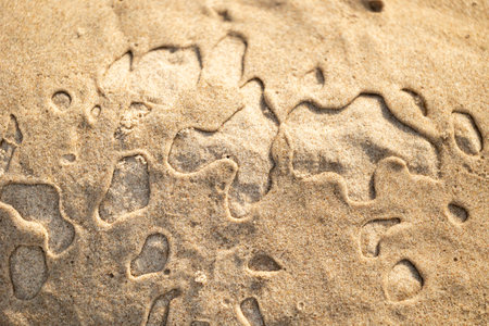 Beautiful sand patterns at the beach of Baltic Sea. Sunny day scenery of Latvia coastline.の写真素材