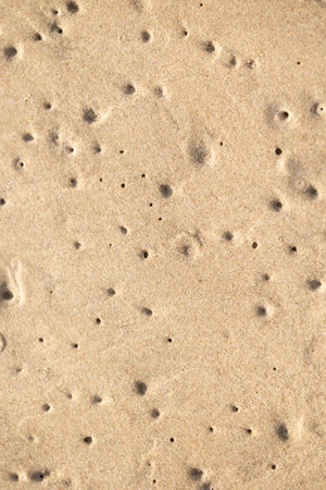 Beautiful sand patterns at the beach. Sunny day scenery of coastline.の写真素材