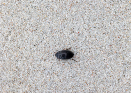 Beautiful sand patterns at the beach of Baltic Sea. Sunny day scenery of Latvia coastline.の写真素材