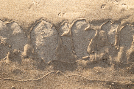 Beautiful sand patterns at the beach of Baltic Sea. Sunny day scenery of Latvia coastline.の写真素材