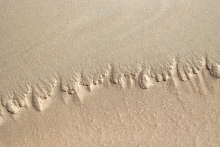 Beautiful ornamental sand patterns made by flowing water on the beach of Baltic Sea. Sunny summer...