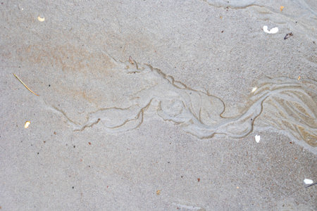 Beautiful ornamental sand patterns made by flowing water on the beach of Baltic Sea. Sunny summer...