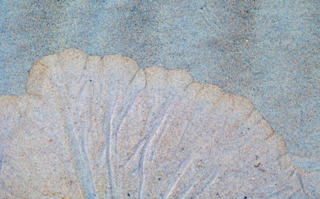 Beautiful ornamental sand patterns made by flowing water on the beach of Baltic Sea. Sunny summer...