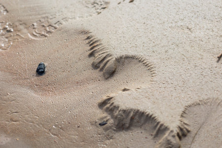 Beautiful ornamental sand patterns made by flowing water on the beach of Baltic Sea. Sunny summer day in Latvia.の写真素材
