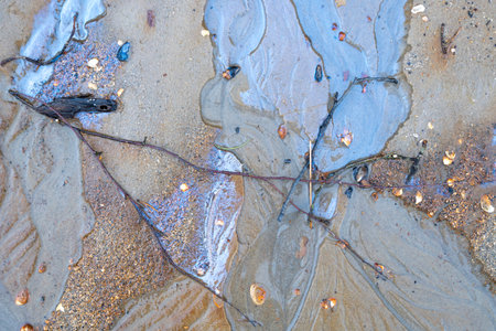 Colorful patterns of a natural oily substance seeping out on a swampy beach. Sunny day on the coast of Baltic Sea, Latvia.の写真素材